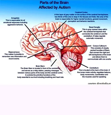 Autism 2 copy
