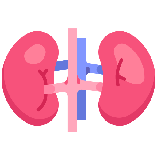 kidneys