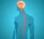 Neurosurgery News Image 90x80